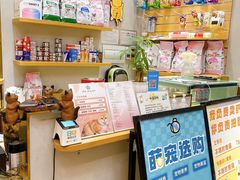 -飞行喵MR PILOT|猫舍·猫咖(静安大融城店)