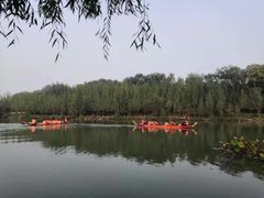 -东方巨龟苑景区