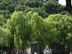 -北山公园