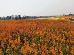 -白鹭湾湿地公园