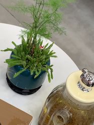 -安蒂护肤造型