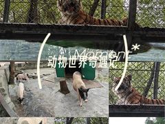 -宁波野生动物园