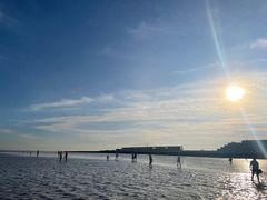 -南汇嘴观海公园