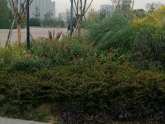 -府河摄影公园