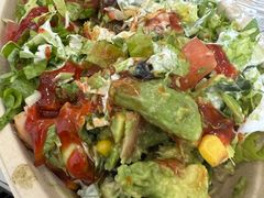 -油梨树 AVOCADO TREE(亮马桥店)