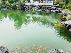 -谷丰健康凤贤居酒家