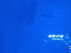 -海昌极光餐厅