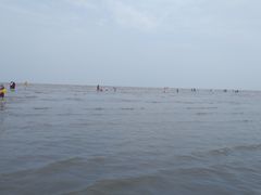 -南汇嘴观海公园