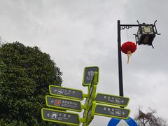 -树山生态村