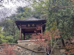 -北极阁公园