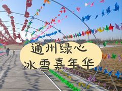 -绿野森林乐园冰雪季