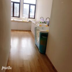 -海豚湾高端月子会所(黄浦店)