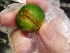 -润泽园海南椰子鸡·糟粕醋火锅(拱北店)