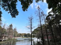 -东山湖公园