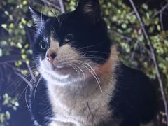 -同济大学(嘉定校区)