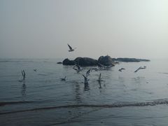 -老虎石海上公园