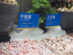 -星伦多自助料理·涮烤一体(江桥万达店)