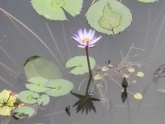 -四海公园(南山区)