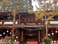 -青城甲(青城山店)