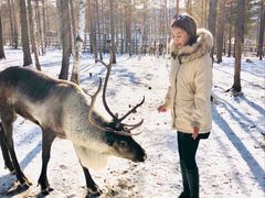 -北极村旅游风景区
