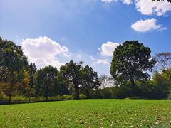 -上海华凯华美达广场酒店