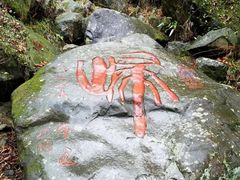 -藏龙百瀑风景区