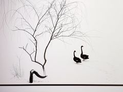 -罗红摄影艺术馆