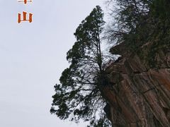 -少华山国家森林公园