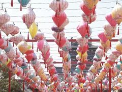 -祥源·阜阳生态乐园