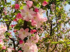 -元大都城垣遗址公园