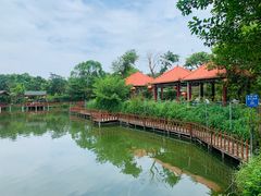 -大地土窑菜馆·特色罗浮农家菜(罗浮山景区店)