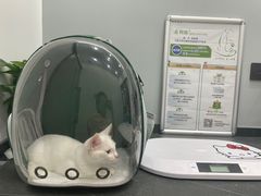 -派特宠物医院(圆融广场店)