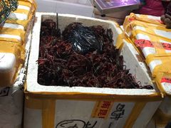 小龙虾-众彩物流水产市场