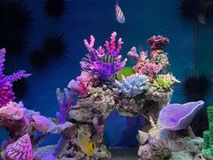 -上海海昌海洋公园