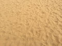 -普陀山风景名胜区-千步大沙