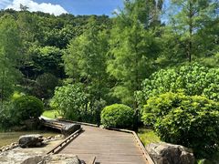 -云溪植物园