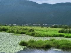 -腾冲北海湿地