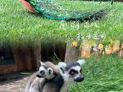 -北京野生动物园