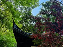 -南山风景名胜区