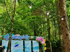 -洛阳白云山景区