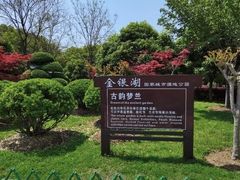 -金银湖国家城市湿地公园