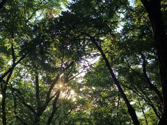 -帽儿山国家森林公园