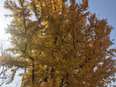 -中国人民抗日战争纪念馆