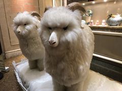 -新兴家喻酒家·羊城名宴(昌岗店)