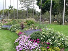 -深圳国际园林花卉博览园