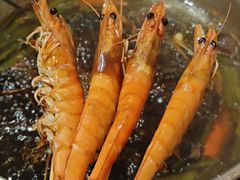 鲜活竹签虾-厝味火锅·潮汕卤水火锅(十一合店)
