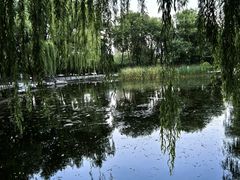 -玲珑塔公园