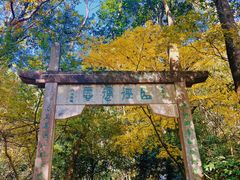 -大慈岩风景区