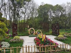 -上海共青森林公园