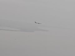 -翼蓝数码(虹桥机场T2店)